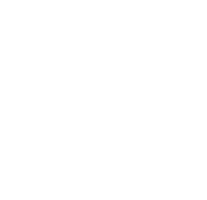 It logo